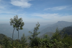 Kodaikanal
